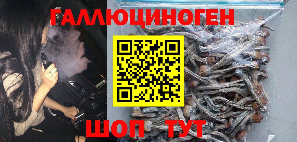 Галлюциногенные грибы Psilocybe Саранск